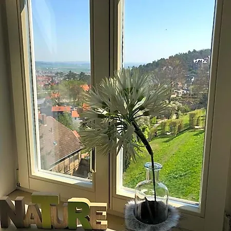 Obere Muehle Blankenburg (Harz)