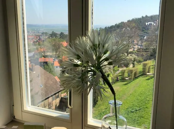 Obere Muehle Blankenburg (Harz)